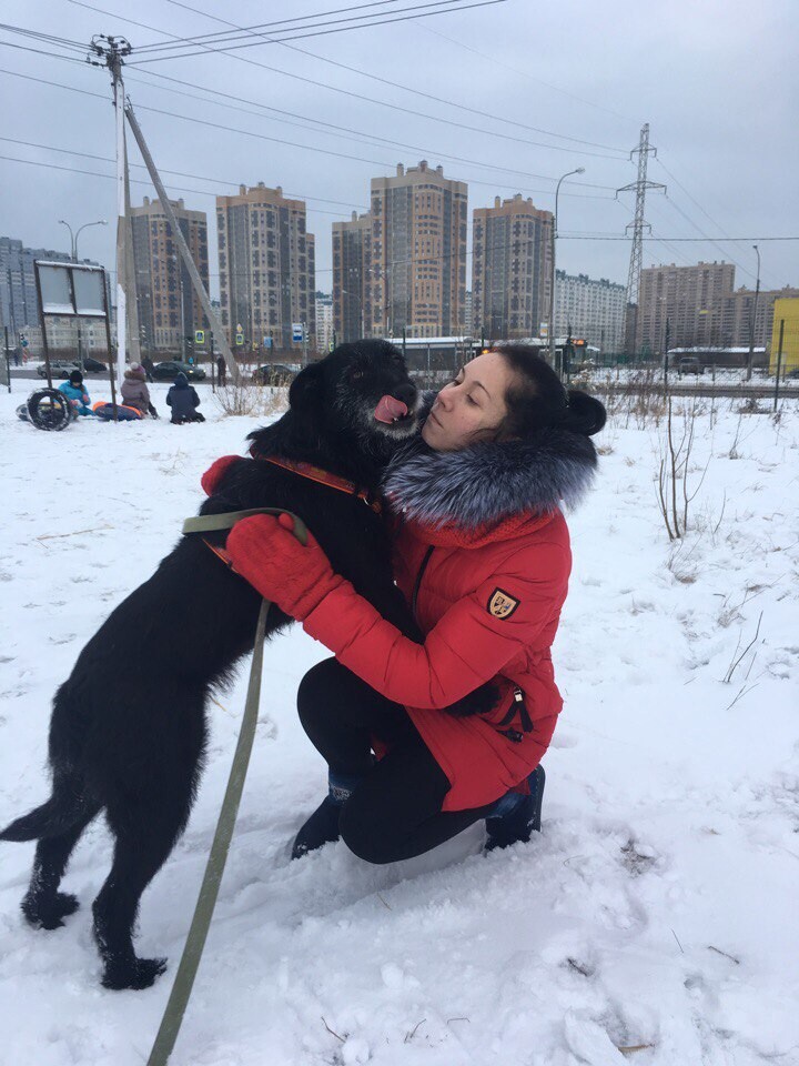 Собака Клепа из приюта гуляет с хозяевами
