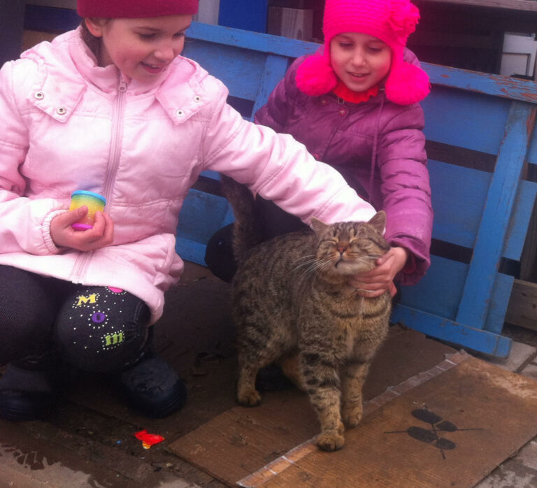 Две девочки в ярких шапках гладят бездомного полосатого кота на улице