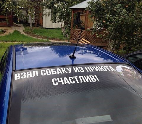 Наклейка на машине - "Взял собаку из приюта счастлив"