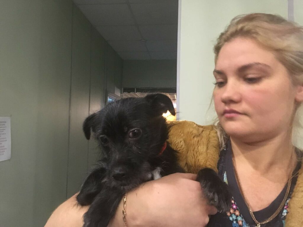 Сотрудница ветклиники держит на руках маленькую чёрную собаку Чернику.