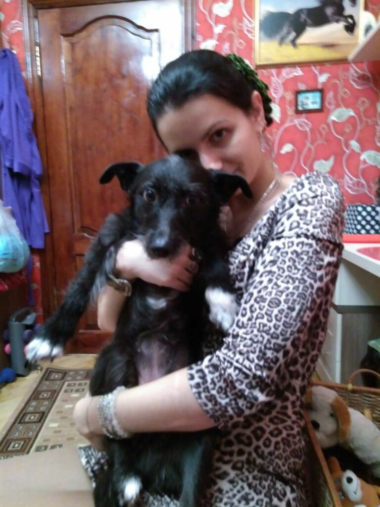 Дарина собака спинальник на руках своей хозяйки Дарины