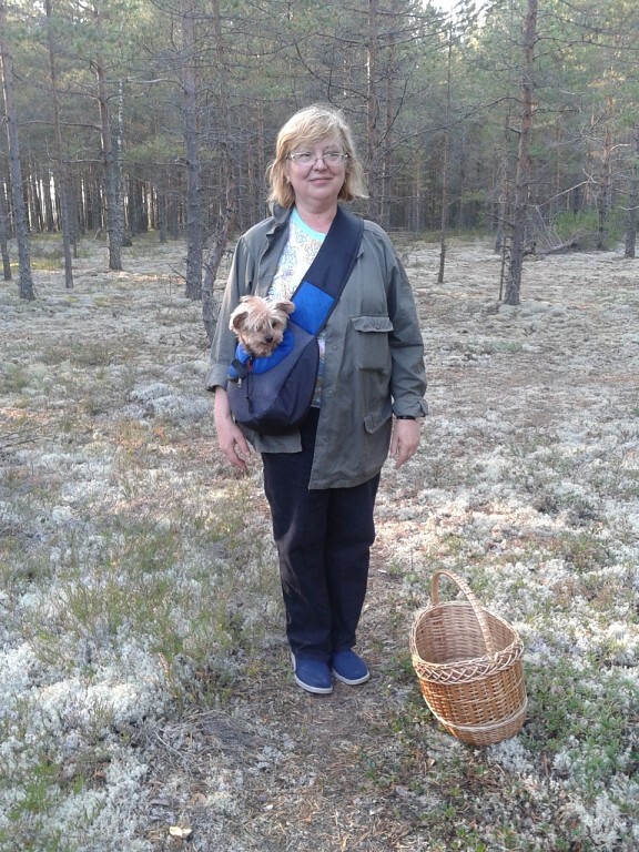 Прогулка в лесу с йоркширским терьером: Сонечка в переноске на груди у хозяйки, а плетёная корзина ждёт лесных сокровищ.