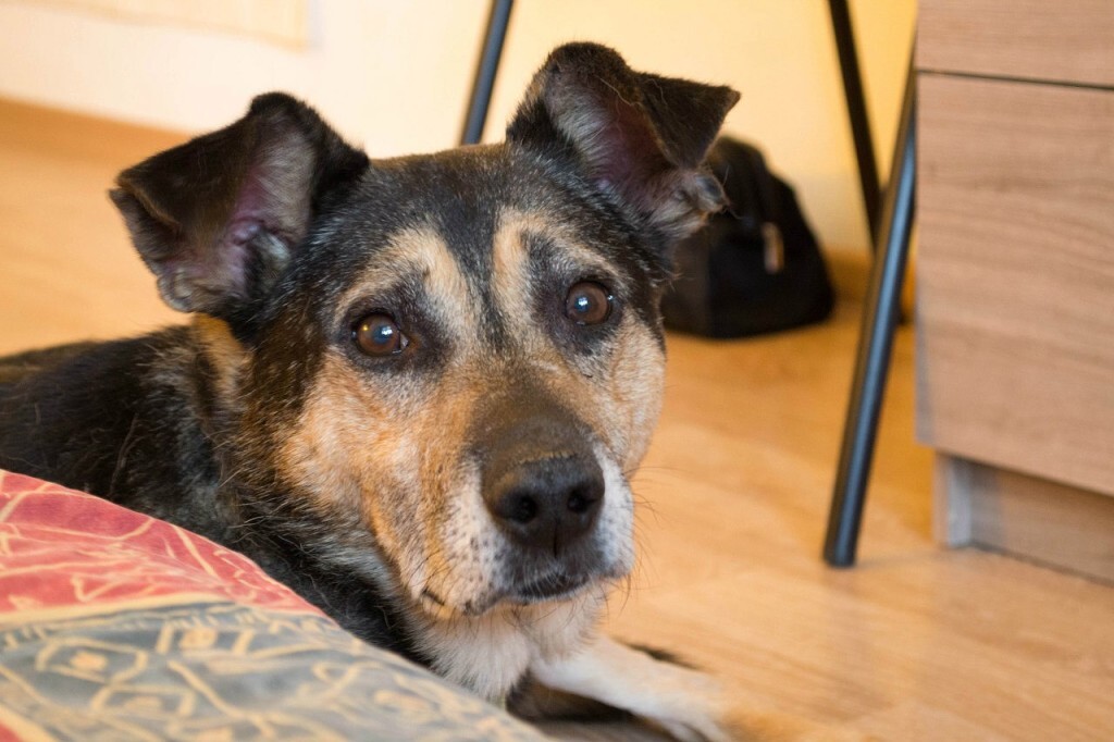 Фото Фрола из дома