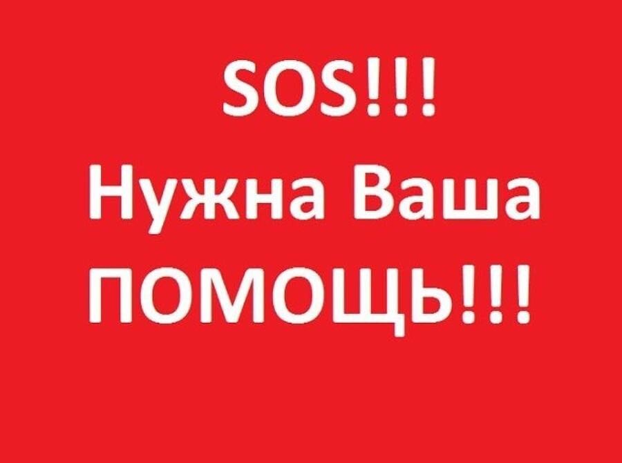 Красный фон с крупной белой надписью: “SOS!!! Нужна Ваша помощь!!