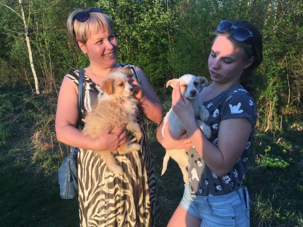 Две девушки и два маленьких щенка, момент перед отъездом в семью
