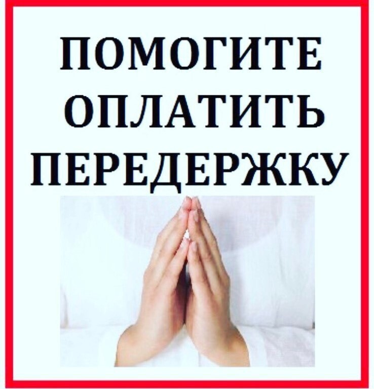 Помогите оплатить передержку