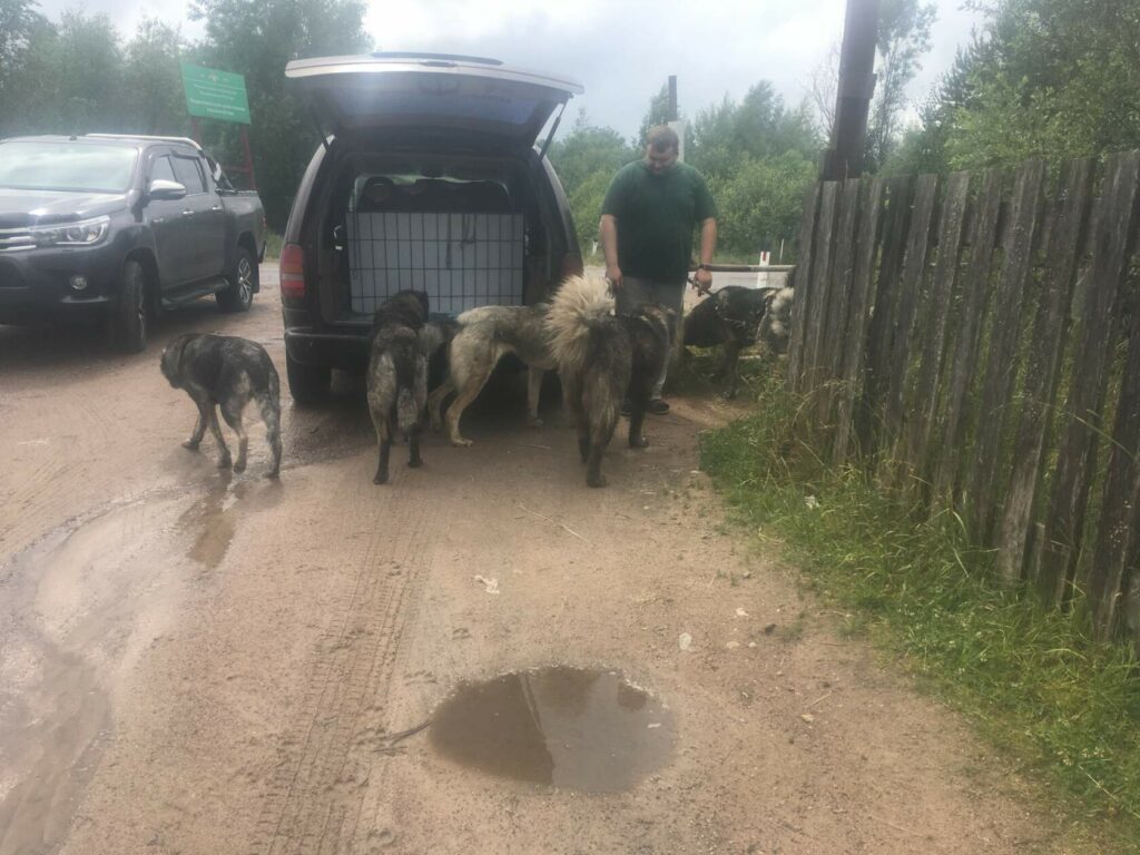 Мирона забирают в приют Левашово