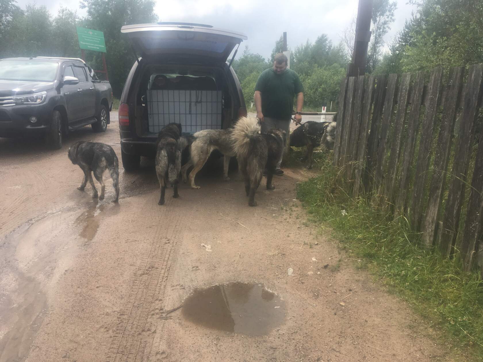 Мирона забирают в приют Левашово