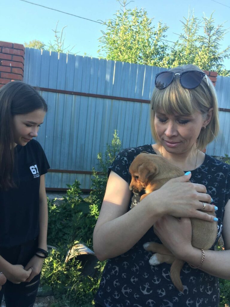 Посещение приюта щенок на руках
