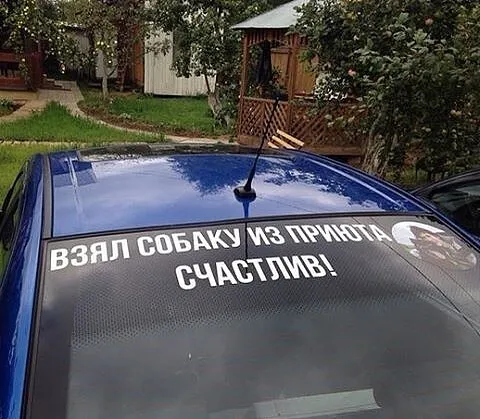 Надпись на заднем стекле автомобиля: «Взял собаку из приюта. Счастливы!»